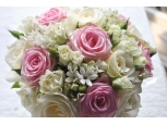 Lovely Ballerina - 12 Stems Bouquet